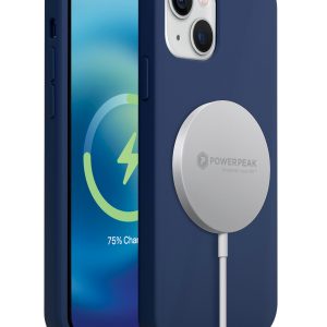 18_1637606842_SILICONE-BLue-miniReg