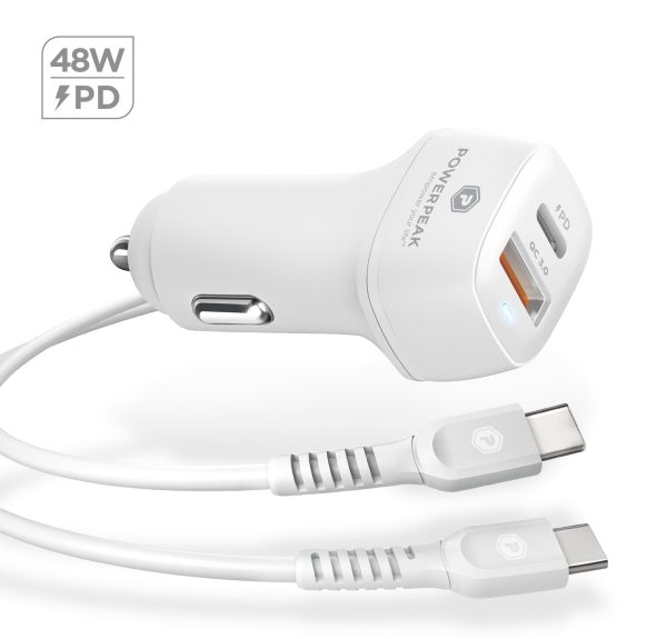 PP-DVPCPD-jjC-A-WT-10011-%281%29