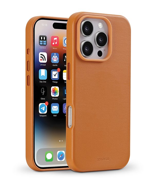 ip16probrown